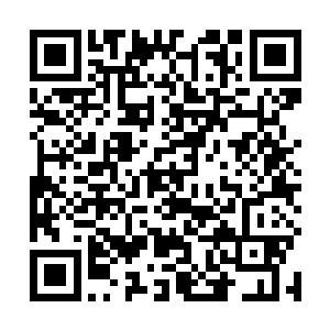 这次凌菲给它检查身体的时候只是抬起眼睛看了她一眼二维码生成