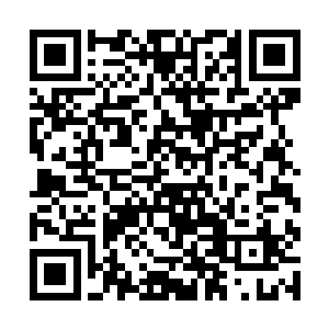 这次到达的散修修为要比第一批修士的修为高上一些二维码生成