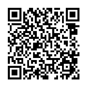 这次动作可谓是喵大人办得最丢人没下限的事情二维码生成