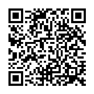 这次原战让人把各位头领和各主要管事人也请来参与了讨论二维码生成