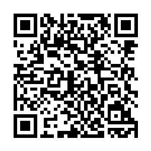 这次去瑞典名义上是和他们的皇家医学院进行交流切磋二维码生成