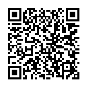 这次可是伶仙子以额外消耗和风险代价加速零号舰二维码生成