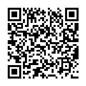 这次大家能够活着回到野狼城堡的希望基本为零了二维码生成