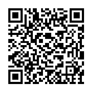 这次大陆碎片和上元大陆的合并有没有造成灾难二维码生成
