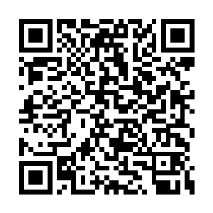 这次就和自己第一次被那七头狼堵在草地时一样二维码生成