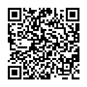 这次就是奉了我们总统的命令前来保护老中堂的安全二维码生成