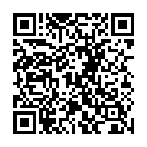 这次战斗由于龙傲天负责保护傲龙皇家魔武学院的学员二维码生成