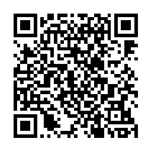 这次百族前来参加巨人族和雨族庆典的修士修为都很高二维码生成