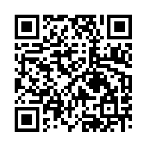 这次的区域赛苏海是特别行动处倒数第一二维码生成