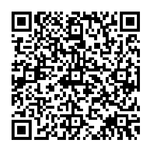 这次的新人是我们弄回来~~资质绝好的早就留下了~~不过那些好苗子价值和价钱都不低二维码生成