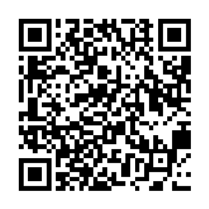 这次的比赛焦点就集中在全国十大潜力名酒的评选上二维码生成