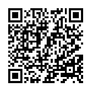 这次的论道大会的举报地点并非是在金家大酒店二维码生成