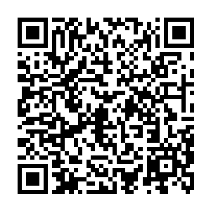 这次离开家族出来寻找那个敢在戚家的地盘杀死戚家人的年轻人进行猎杀二维码生成