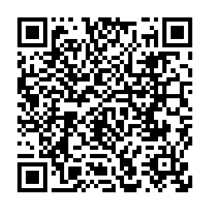 这次秘境探险的总领队――一位结丹巅峰的修士李昊然将众人集合在一起二维码生成