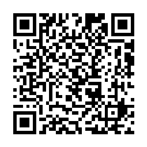 这次突然知道了这个消息也难怪龙傲风会如此兴奋了二维码生成