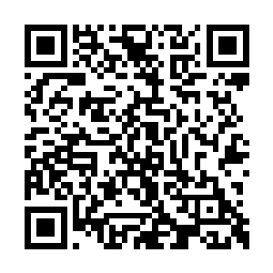 这次苍龙阁已经提前十来天便得知道了这个消息二维码生成