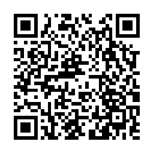 这次选的十多个小伙子都是身材稍微的矫健一些的二维码生成