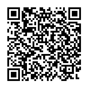 这次魔族之所以只攻打我们苍澜宗在西方的领地和拥有如此多的仙符二维码生成