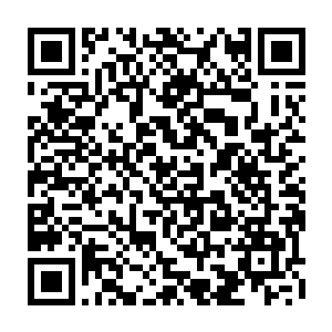 这正是他从御灵真人所留下的御虫心得之中学会的一种炼化虫王的御灵神通二维码生成