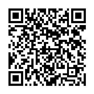 这段故事里更让马文在意的是血腥大帝和赛迪斯的契约二维码生成