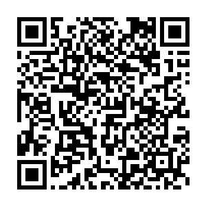 这段时间从她暗中安插在沈雨凝院子里的小丫鬟那里知道了不少的事情二维码生成