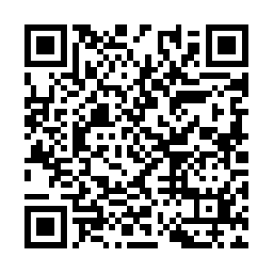 这段时间他也已经习惯了小丫头在身边吵闹的样子二维码生成