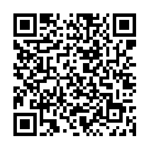 这比指使小五用车撞死田女婿和靳老大更让他不安二维码生成