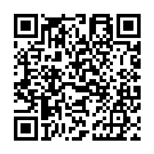 这没灭世天火与创世神雷所产生的剧烈反应实在是太过可怕二维码生成