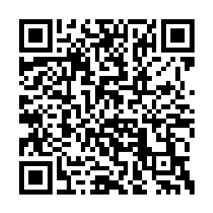 这洛家的高手一一与他交手明显在试探他的实力二维码生成