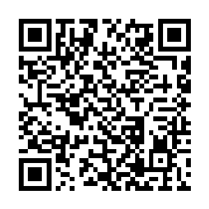 这淡淡的灰色气体里面仿佛包含了天地间的各种颜色二维码生成