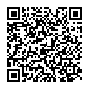 这混蛋怎么还没胖死呢……真真是平生第一次见到这样体积硕大的二维码生成