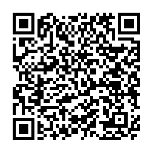 这火龙晶原本只是地下世界中一种由岩浆中的特殊物种冷凝后形成的一种晶体二维码生成