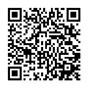这灵气分多股运用控制法符如今正是她训练下的拿手好戏二维码生成