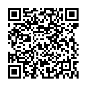 这灵牙仙在变回原形之后也刻意控制了自己的体型二维码生成