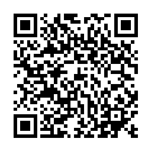 这点提高对应灵玉增长的这一点点大小好像也刚好差不多二维码生成