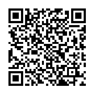 这点翼魔的数量高突破人族的第一道的空中防线远远不够二维码生成