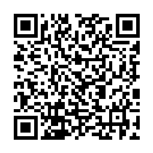 这烛龙领的蚯蚓是我当初从威夷次大陆带回来的异种二维码生成