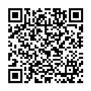 这爱演戏的小丫头兴奋的凑近洪大力的脸啪嗒一下就是一口二维码生成