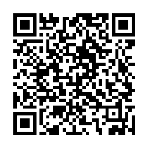 这片森林可以说是我们经过的最轻松的一个区域了二维码生成