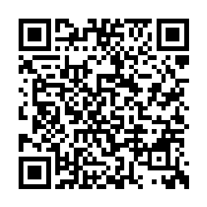 这片险恶之地就是罗林和这神秘黑甲战士的战场二维码生成