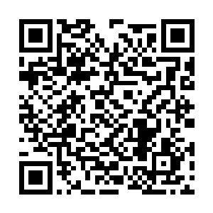 这玄黄迷雾虽然阻隔住了仙侠之陆修真者使用灵气二维码生成