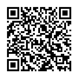 这生气的少夫人恐怖程度可以说和自家少爷不相上下了二维码生成