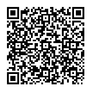 这番味道让一帮跟着陆为民下来的县府办的千部都是叫苦不迭的同时也有些暗自佩服二维码生成