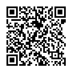这番说辞自然是从一开始我对外宣称的时候就已经套好了的二维码生成