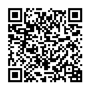 这白谦心收的徒弟怎么这么蠢该不会他只是天赋好二维码生成