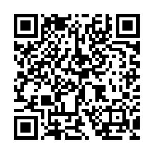 这盘龙山的最边缘都已经出现了可以施展风属性能力的裂风苍狼二维码生成