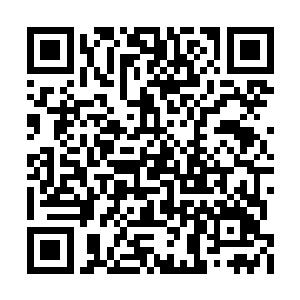 这看起来一脸仁慈的老人应该就是王养心的爷爷二维码生成