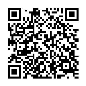 这真是要拜他超强的身体素质所赐啊……出色的腰腹力量和弹跳二维码生成