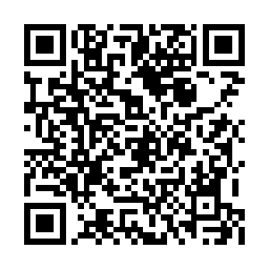 这破空草被提炼出来的精华都要被神焰给烧毁了二维码生成