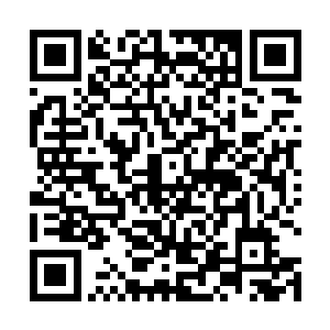 这碧幽草便是用其中的一种碧幽草种子培育出来的灵药二维码生成